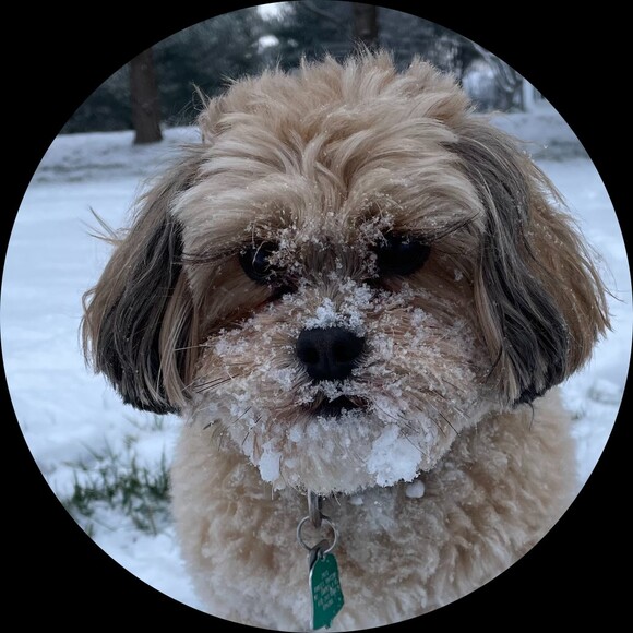 love_my_dog